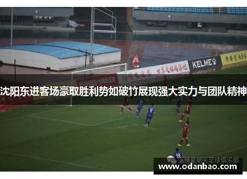 沈阳东进客场豪取胜利势如破竹展现强大实力与团队精神