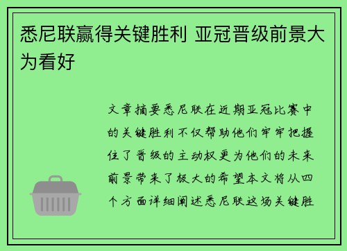 悉尼联赢得关键胜利 亚冠晋级前景大为看好