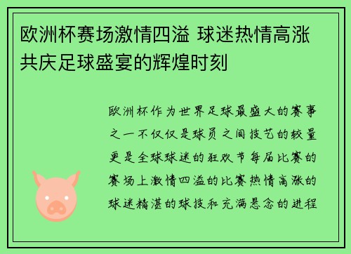 欧洲杯赛场激情四溢 球迷热情高涨 共庆足球盛宴的辉煌时刻