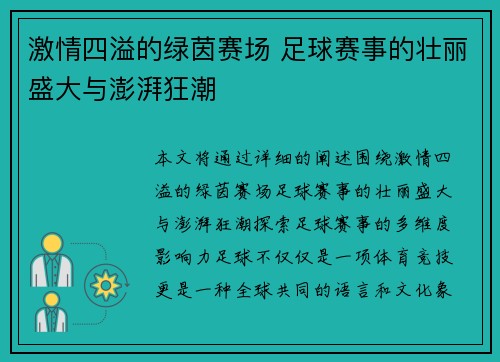 激情四溢的绿茵赛场 足球赛事的壮丽盛大与澎湃狂潮